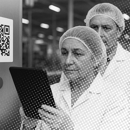 werkinstructies-dots-bw